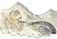 drawing of a snow leopard having a little sit down