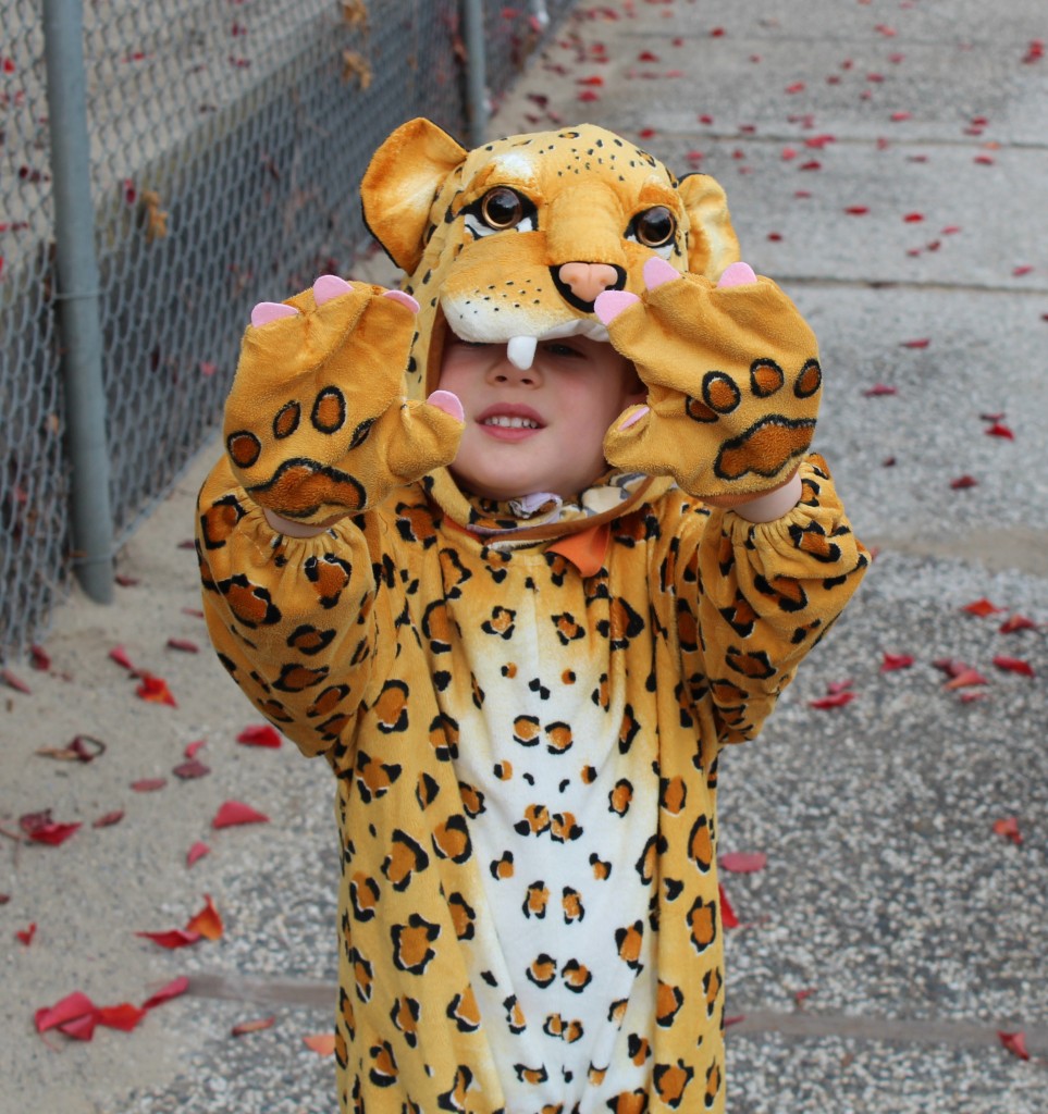 little boy in leopard costume
