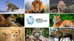 world wildlife day 2018