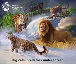 world wildlife day 2018 poster reduced