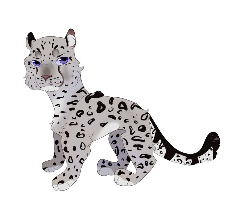 Leo the Snow Leopard by Juliana Hatkoff
