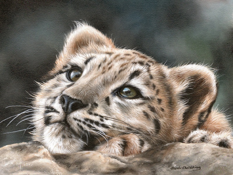 Baby Leopard Cub Art, Leopard Art ORIGINAL pastel drawing, Realistic animal  art, Baby Wildlife, FREE SHIPPING Worldwide .br