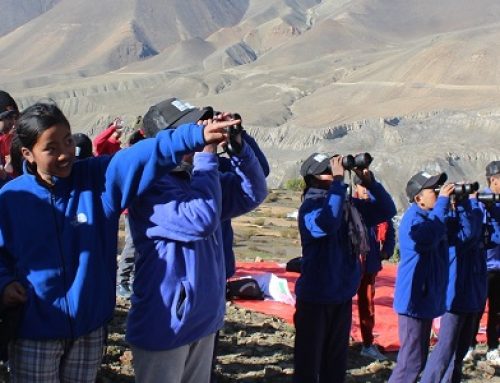 Snow Leopard Scouts – Conservation Education in Nepal