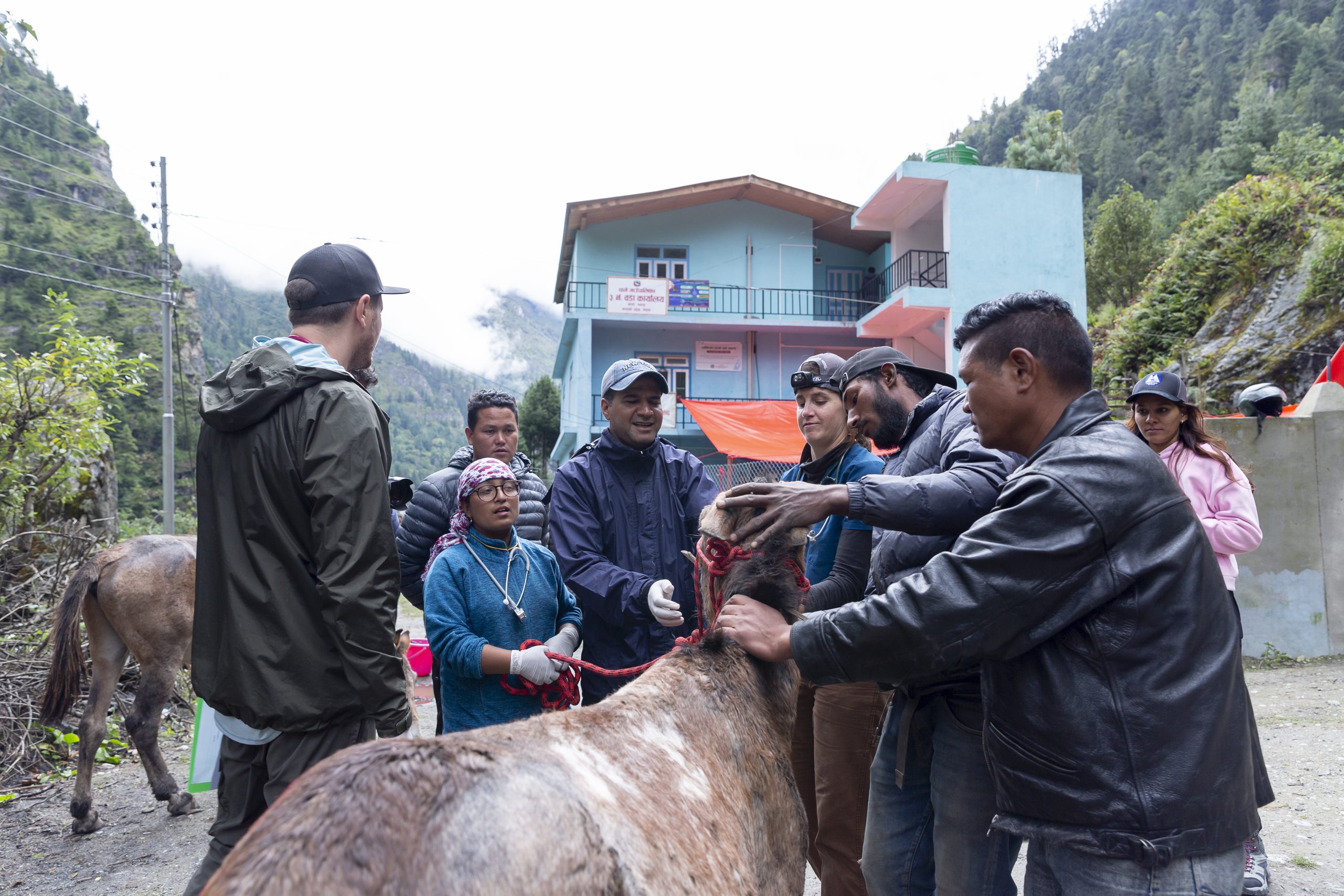 One Health One Welfare Training Clinic for Junior Technicians in Nepal