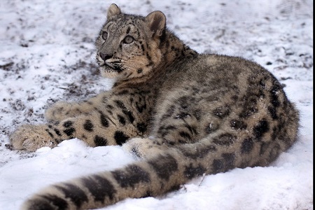 6894906641_a3d9723f40_o-cropped-2