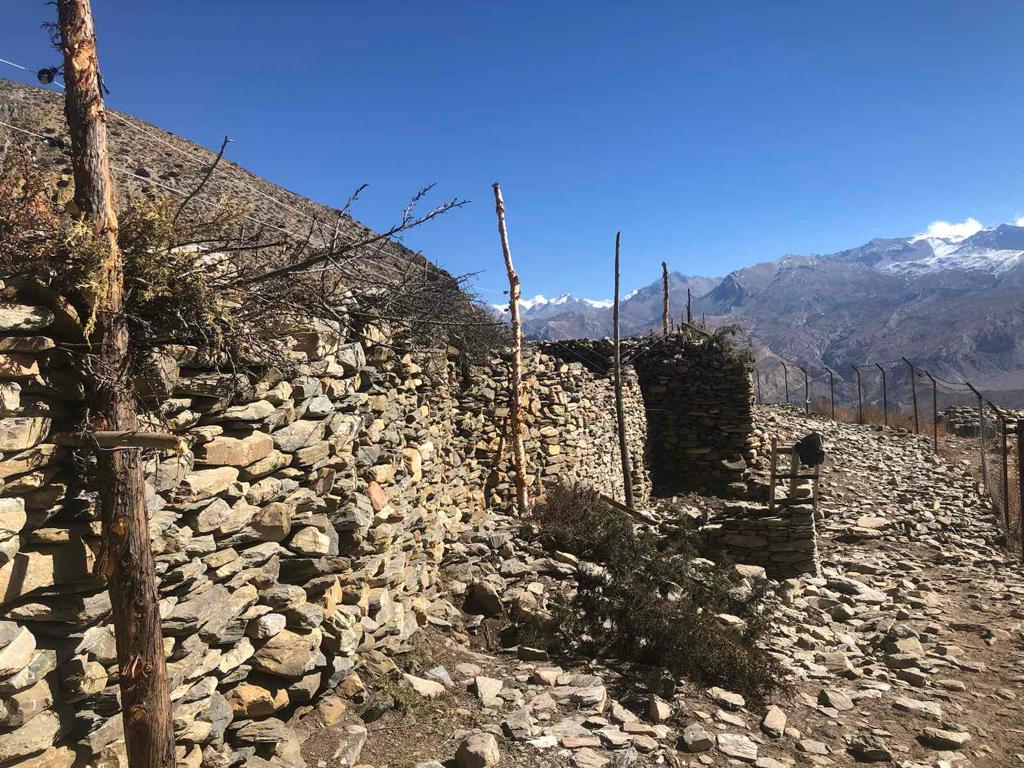 Photo of a predator-proof corral in the Lower Mustang region of Nepal to curb human-wildlife conflict with snow leopards