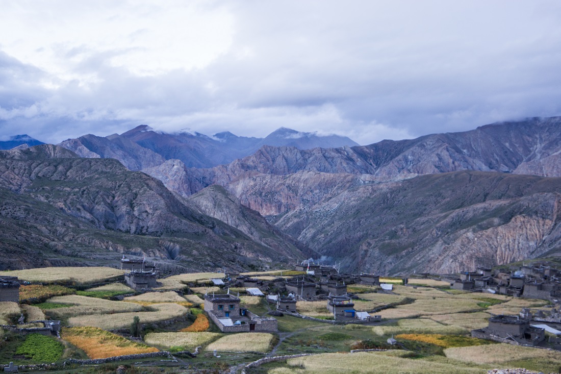 Koma Village Saldang, Nepal. Prime snow leopard sighting area for ecotourism expeditions. Photo by Tshiring Lhamu Lama. 