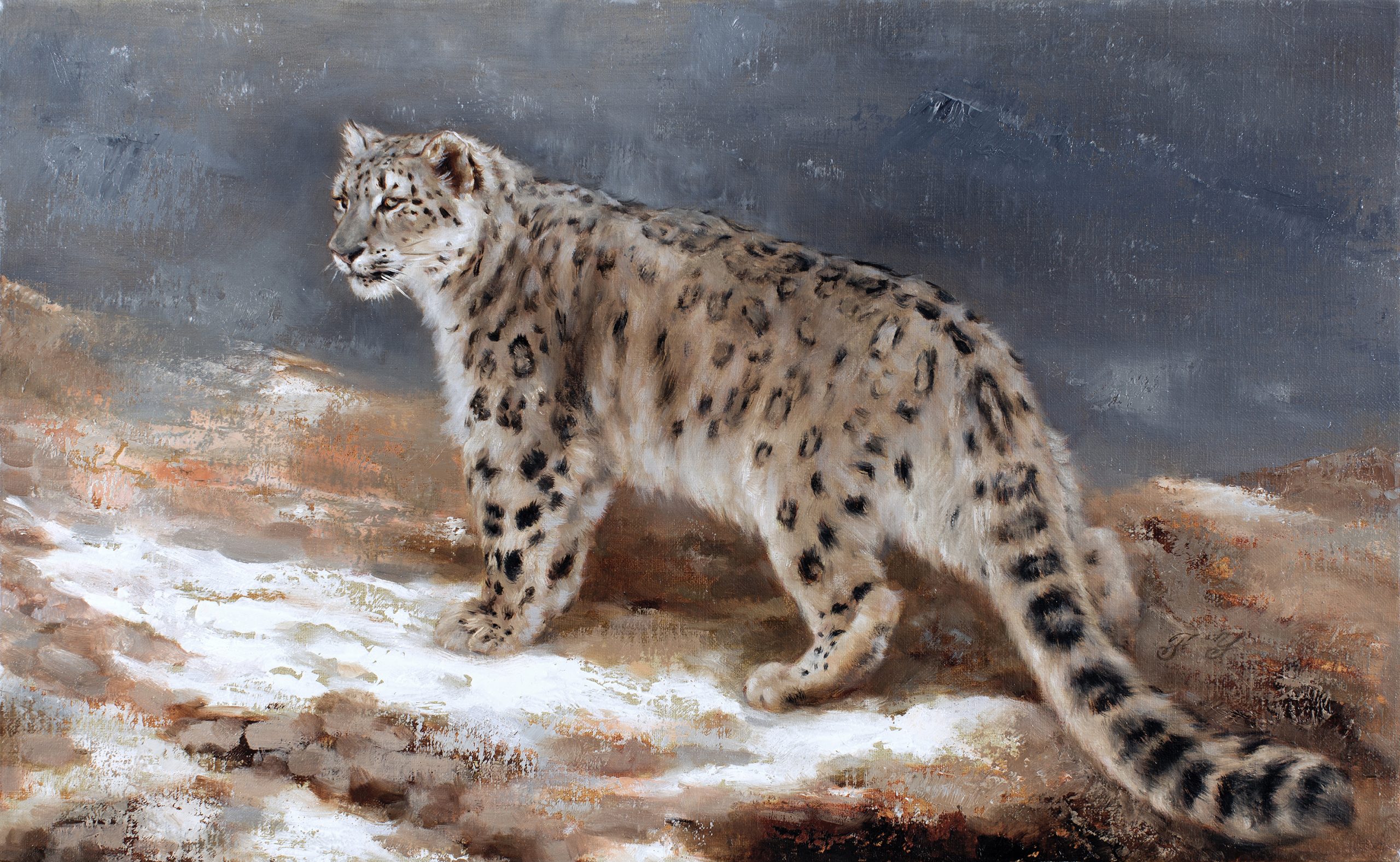 Oil Painting of a snow leopard in the high mountains of Asia.