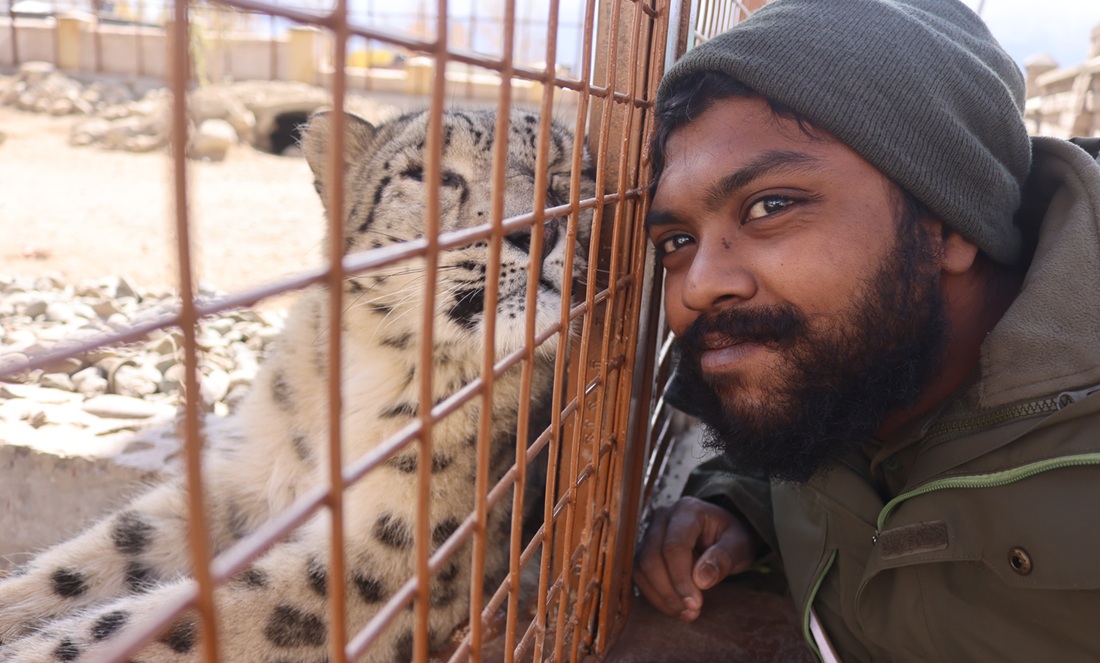 Advancing welfare for wildlife ambassadors, zoologist Kartik Thevar has partnered with the Sikkim Himalayan Zoological Park, shown here with a rescued snow leopard being kept in captivity