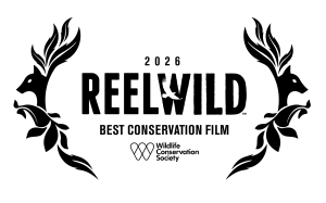 WCS Reel Wild Award for Best Conservation Film given to Snow Leopard Sisters