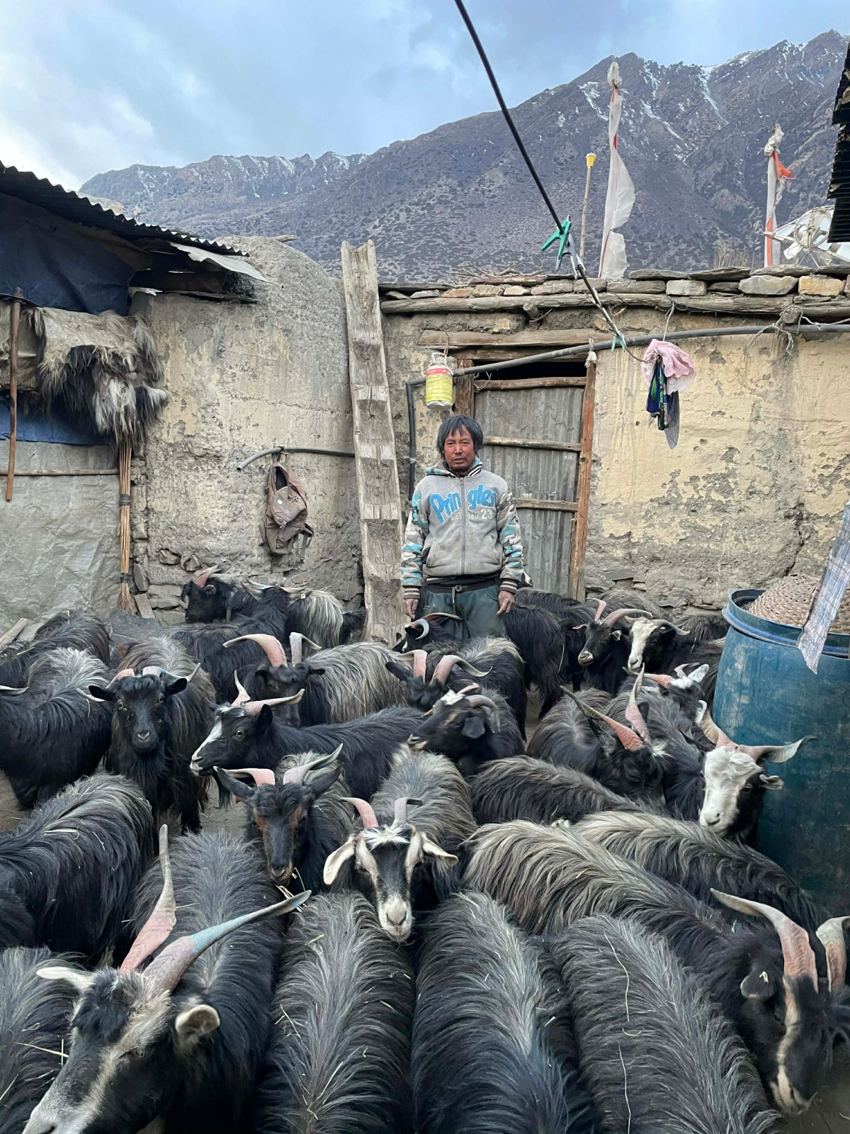 Niraj surveyed local goths, or traditional corrals, to identify structures in need of improvement to keep livestock safe from predators. Photo Credit: CBSLCP